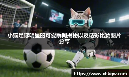 小猫足球明星的可爱瞬间揭秘以及精彩比赛图片分享